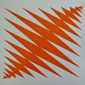 Hércules Barsotti - Geométrico