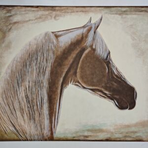 Carlos Passos - Cavalo