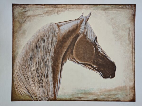 Carlos Passos - Cavalo