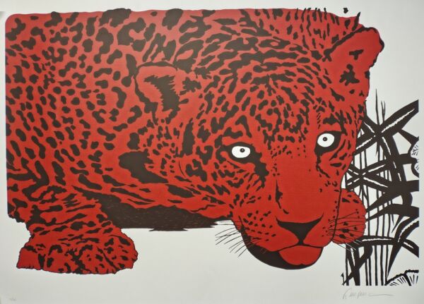Kleber Ventura - Onça Pintada Vermelha
