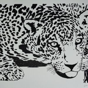 Kleber Ventura - Onça Pintada