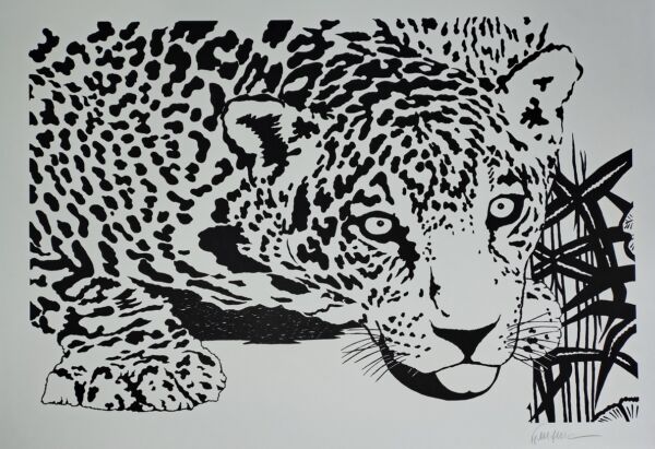 Kleber Ventura - Onça Pintada