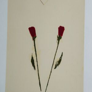 Olímpia Couto - Rosas