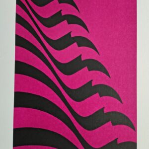 Kleber Ventura - Bandeira pink