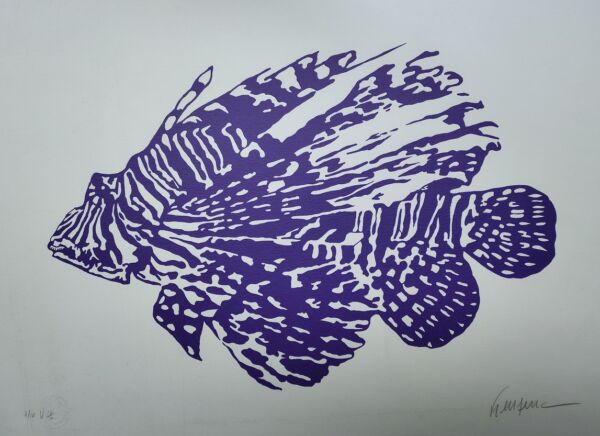 Kleber - Peixe Roxo